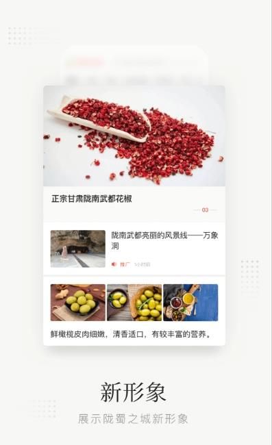 陇蜀之城截图2