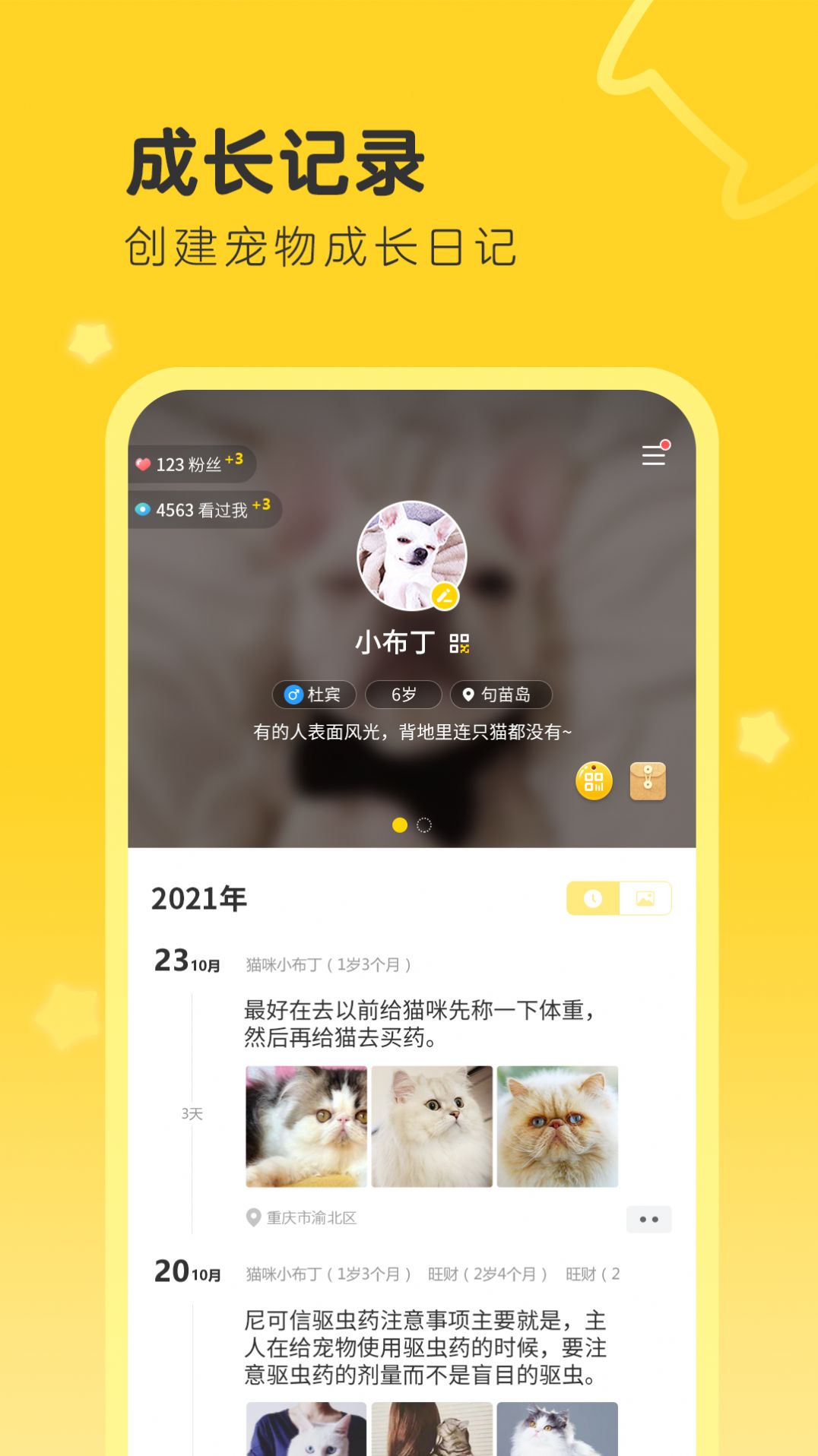 句苗岛软件最新版截图2