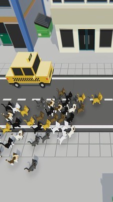 寻找猫咪官方版截图3