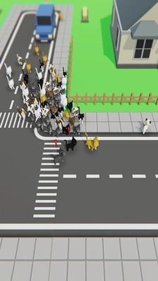 寻找猫咪官方版截图2