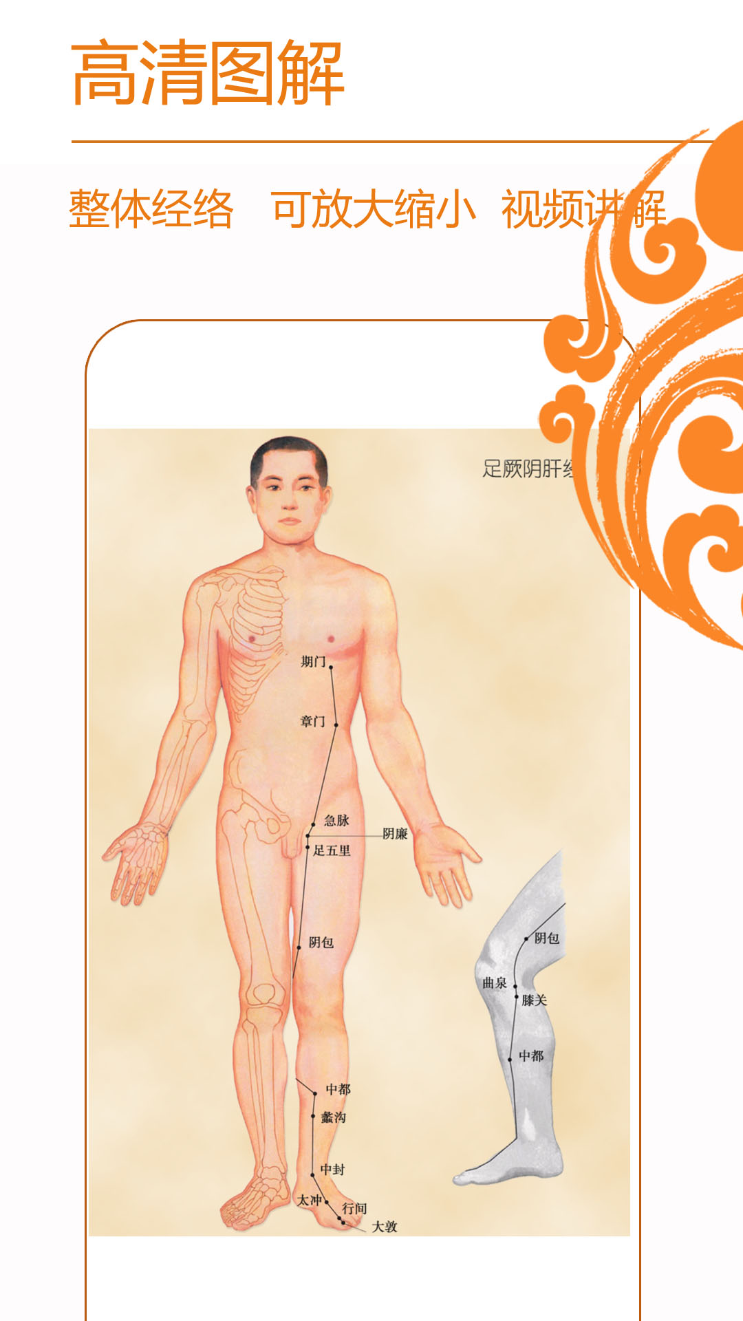 经络养生最新版截图1
