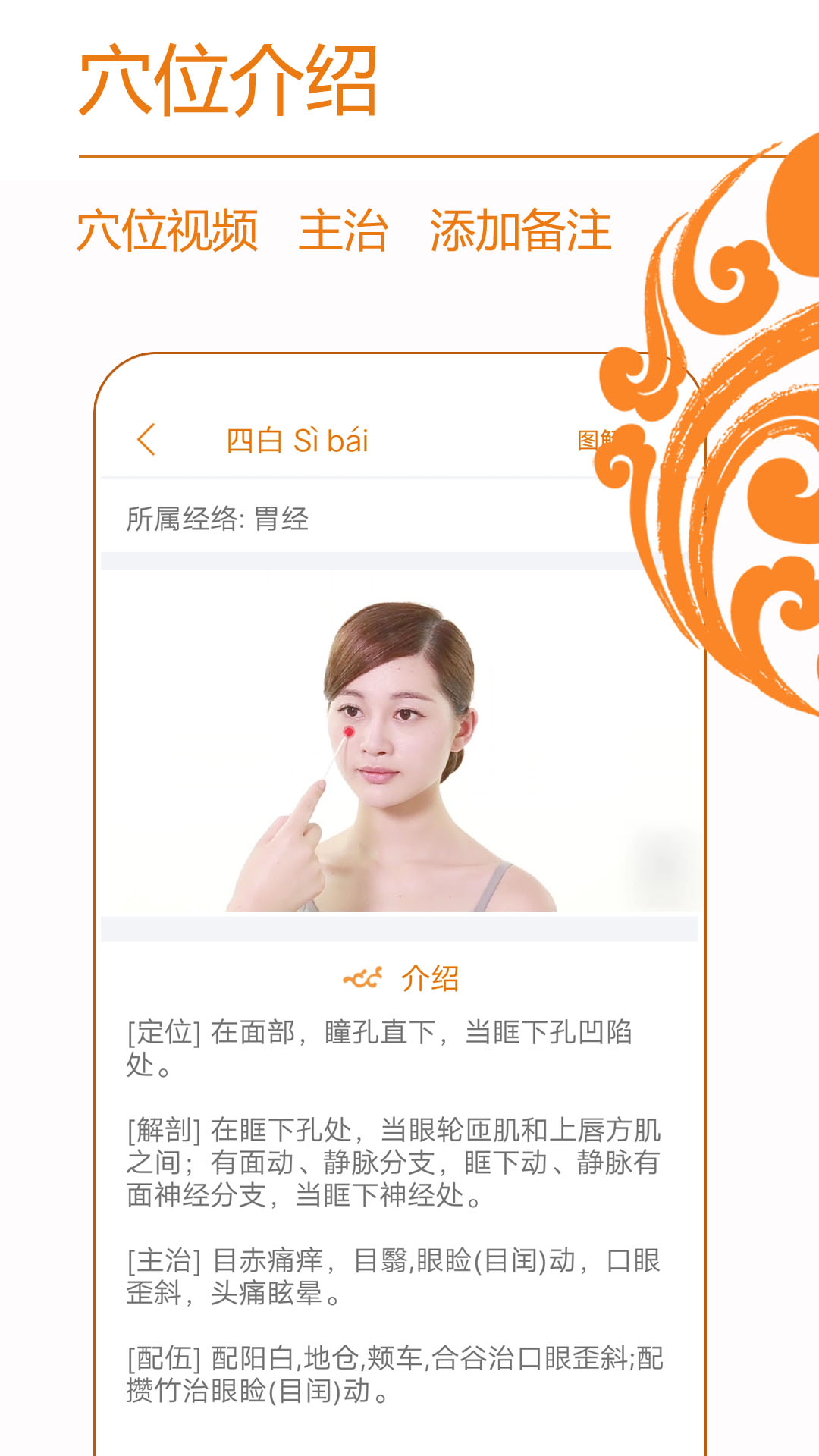 经络养生最新版截图2