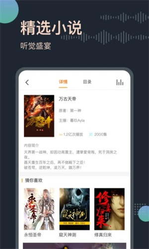 免费听书王缓存版截图2