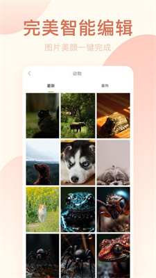 美颜神器app官网版截图1