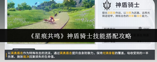 《星痕共鸣》神盾骑士技能如何搭配