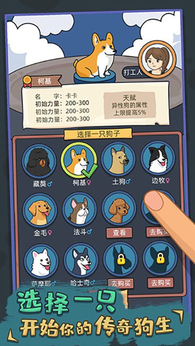 狗生模拟器截图5