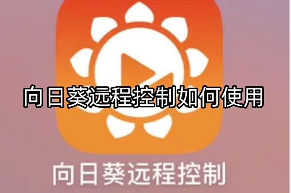向日葵远程控制如何使用