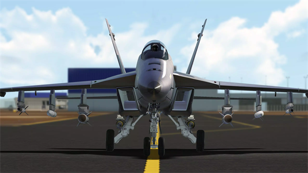 RCS真实空战模拟器截图5