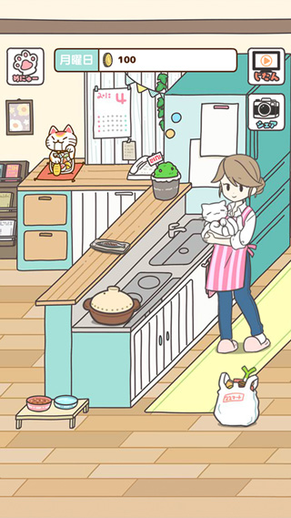 猫咪饲养日常截图1