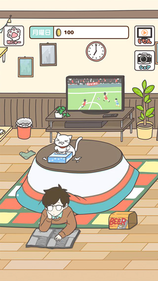 猫咪饲养日常截图2