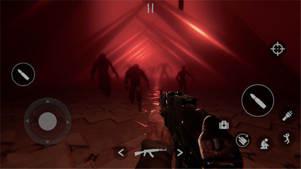 同一房间同一天