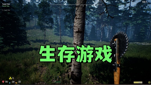 生存游戏