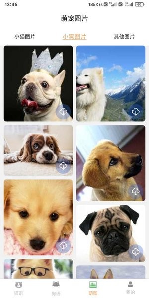 云宇猫狗翻译app最新版截图2