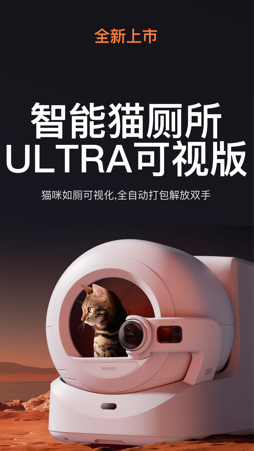 小佩宠物