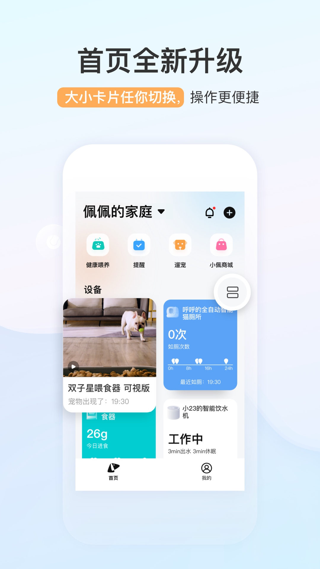小佩宠物截图3