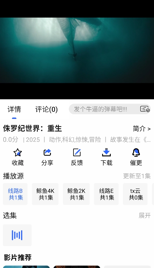 鲸鱼影视官方最新版截图2