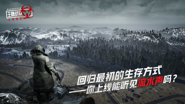 王牌战争官方版截图4