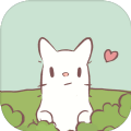 猫和汤官方