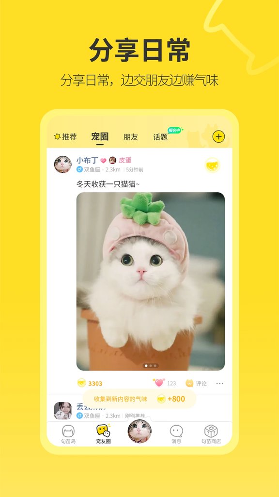 句苗岛截图3