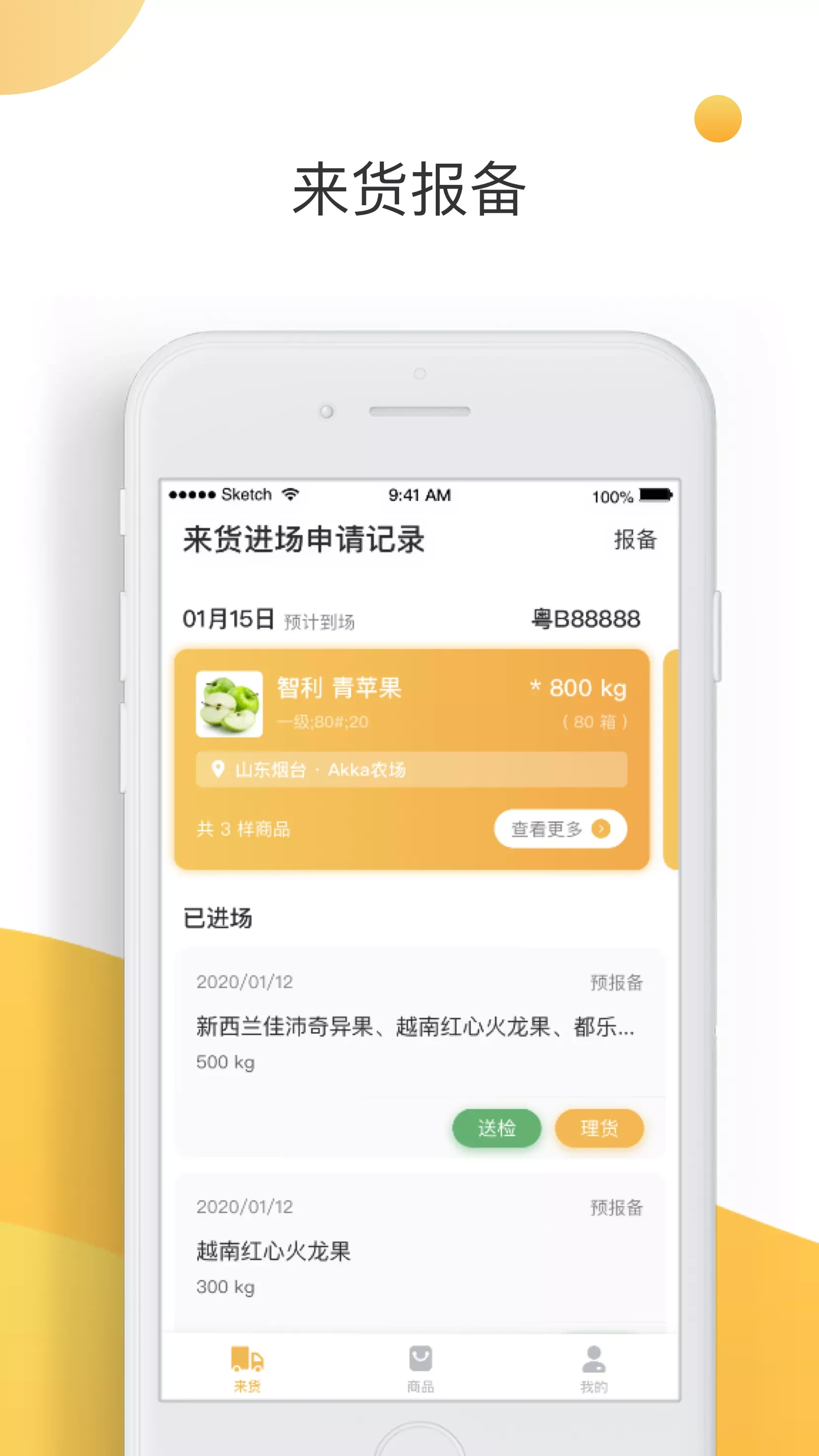 大白菜截图3