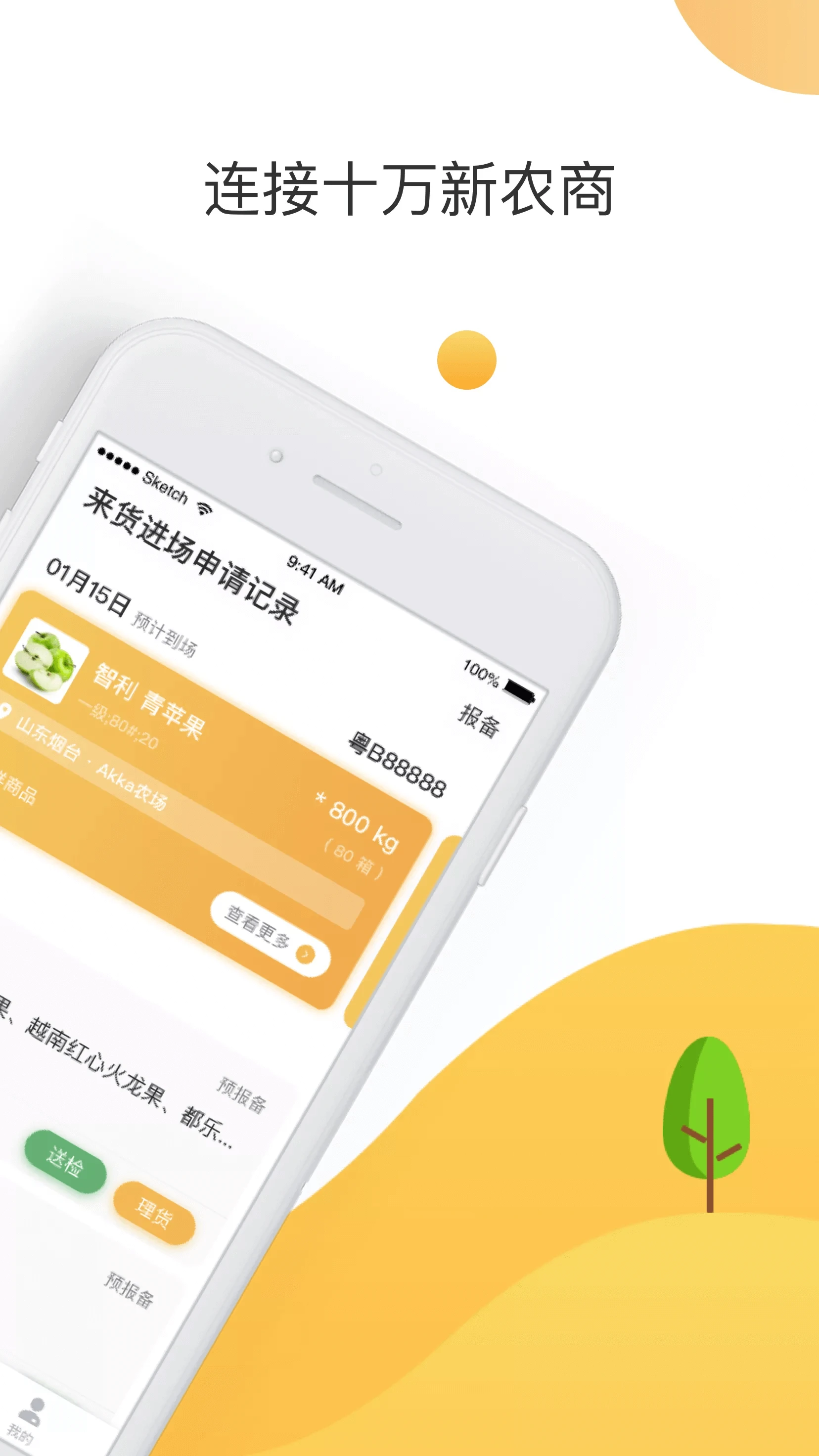 大白菜截图2