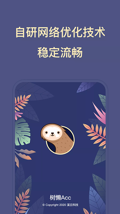 树懒Acc加速器截图3