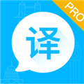 英语翻译大师