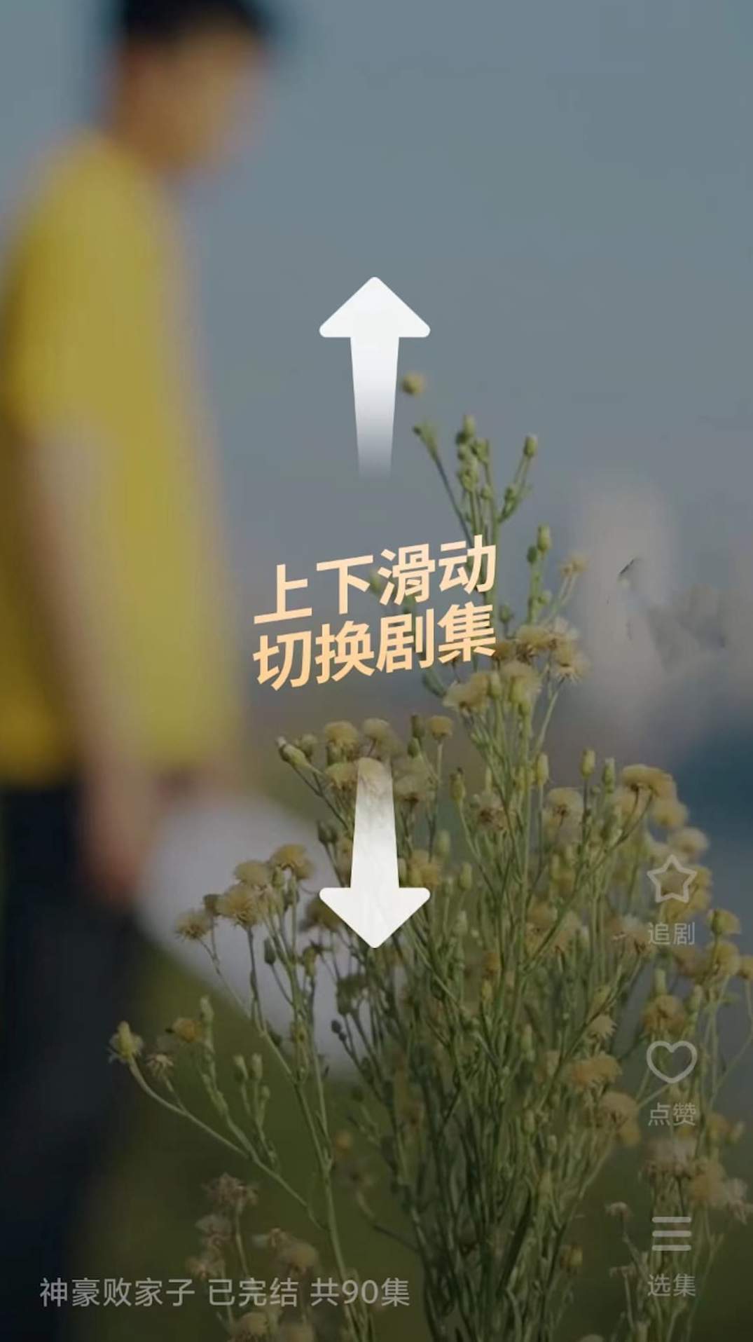 番茄短剧app截图2