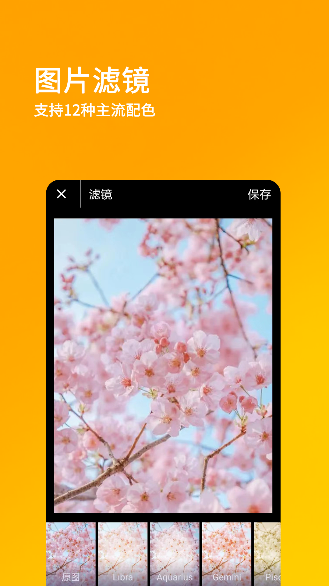 刷圈兔破解版吾爱破解截图3